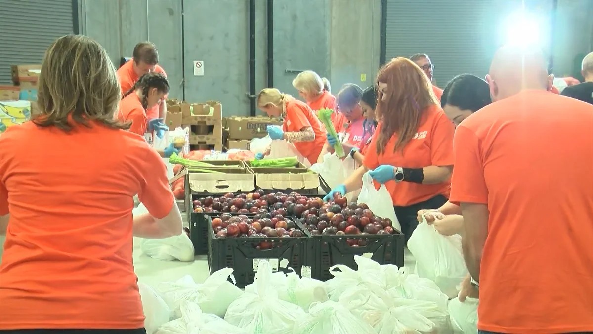 FIND Food Bank distribution